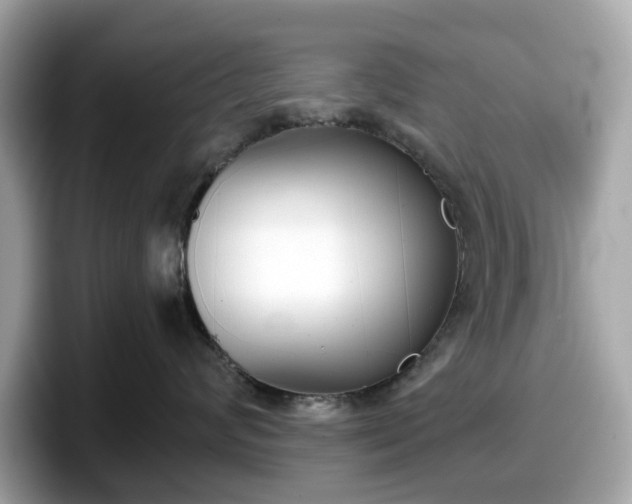 X0000098110624200804111056