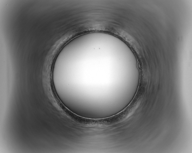 X0000098110625200804111056