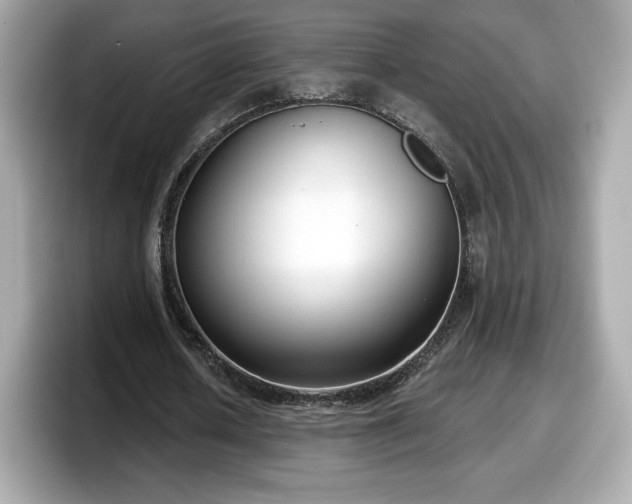 X0000098110626200804111056