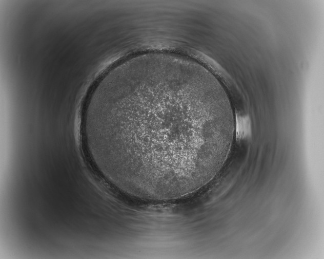X0000098110627200804111056