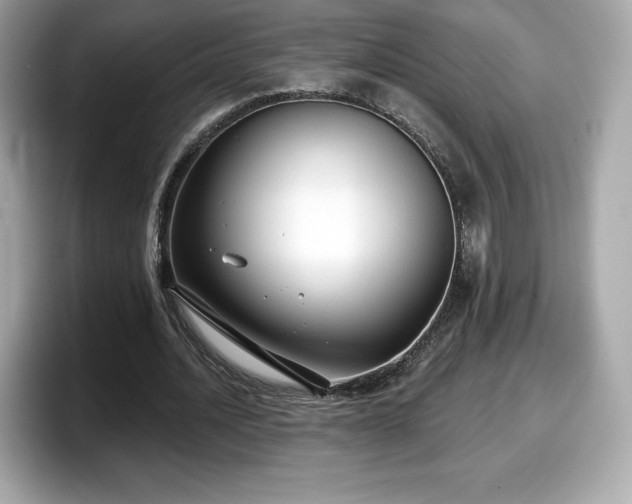 X0000098110628200804111056