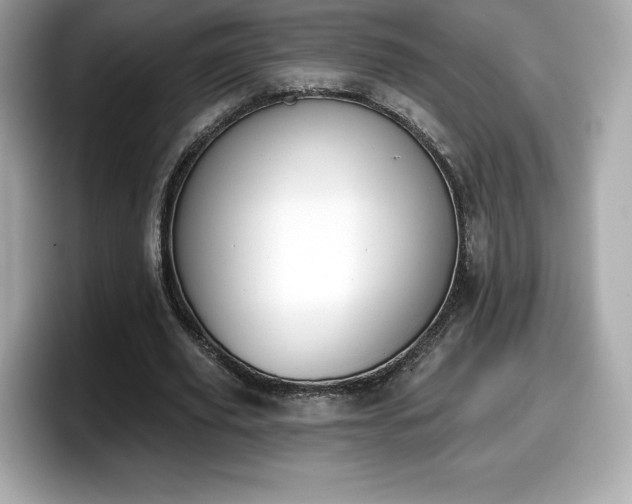 X0000098110629200804111056