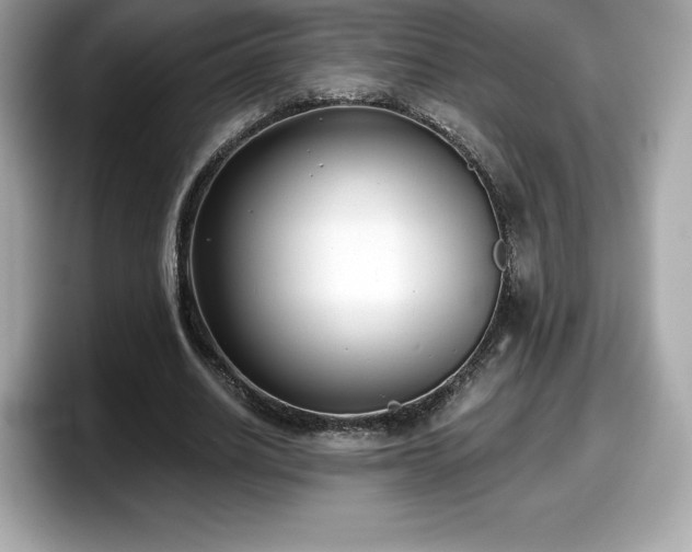 X0000098110630200804111056