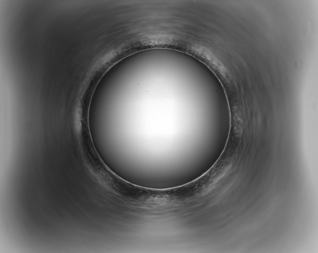 X0000098110631200804111056