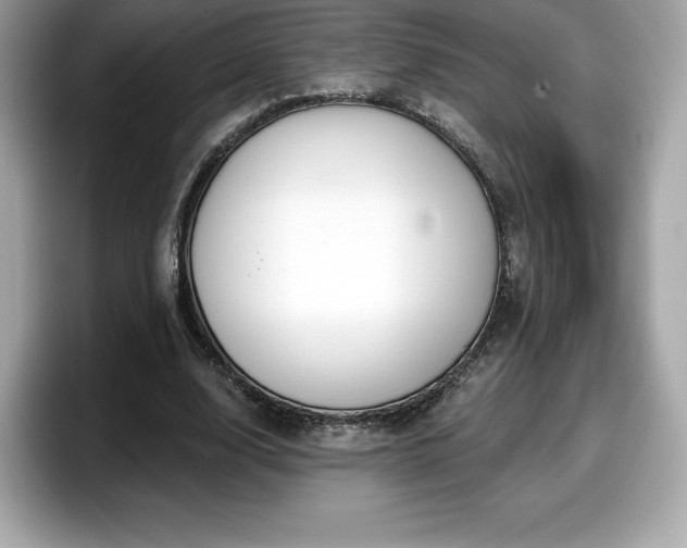 X0000098110632200804111056