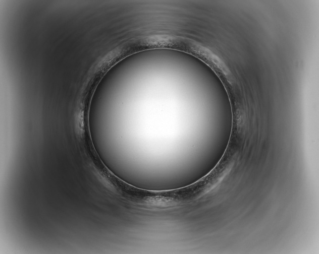 X0000098110633200804111056