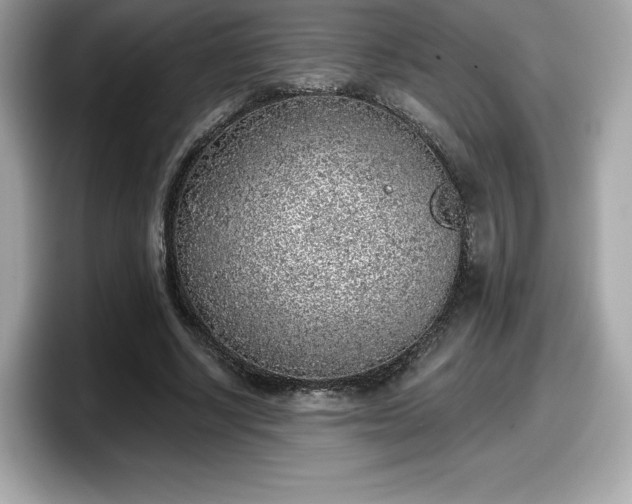 X0000098110634200804111056