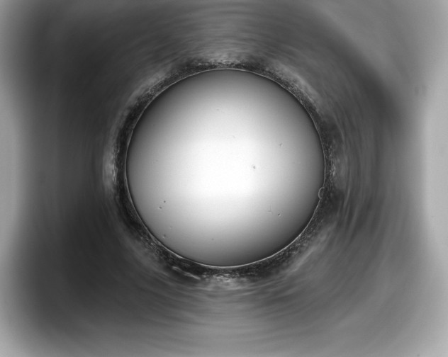 X0000098110635200804111056