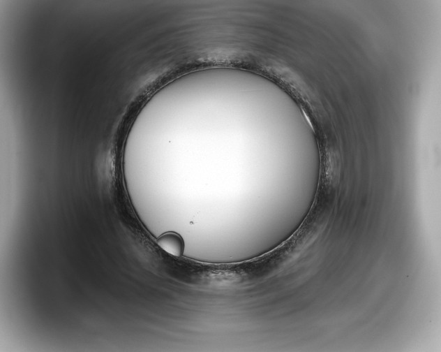 X0000098110636200804111056