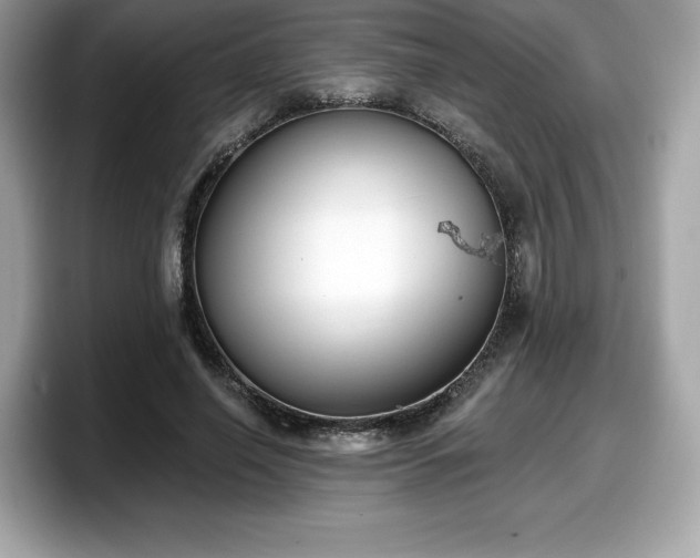 X0000098110638200804111056