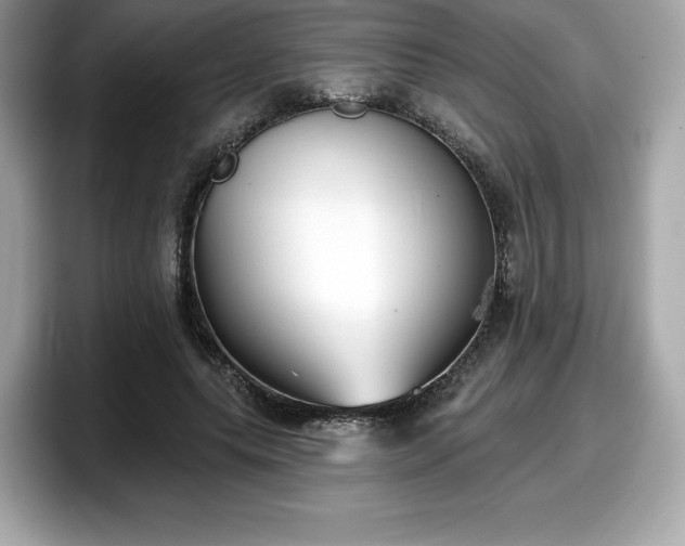 X0000098110639200804111056