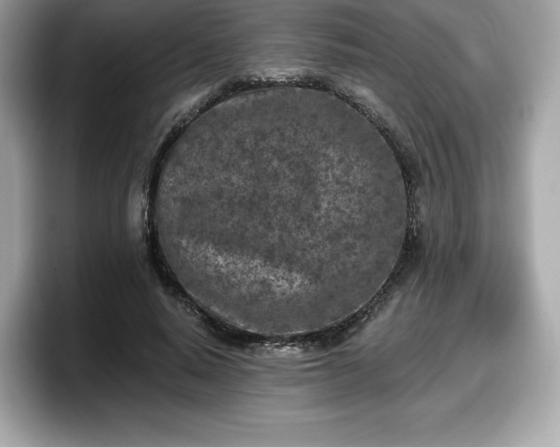 X0000098110640200804111056