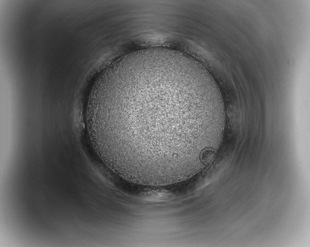 X0000098110642200804111056