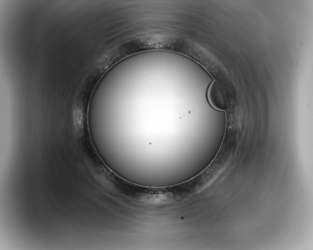 X0000098110646200804111056
