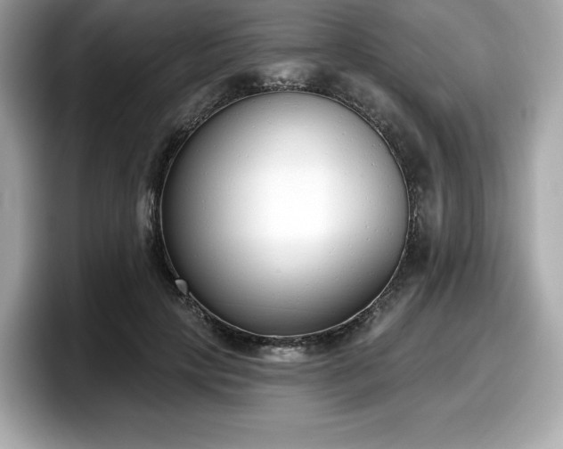 X0000098110649200804111056