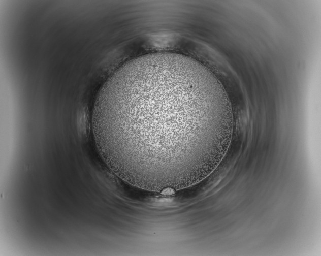 X0000098110651200804111056
