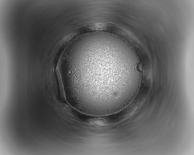 X0000098110652200804111056