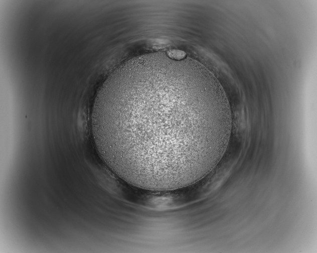 X0000098110653200804111056