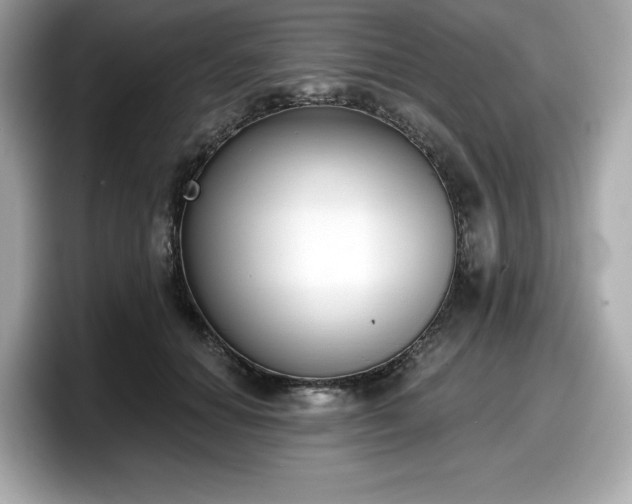 X0000098110654200804111056