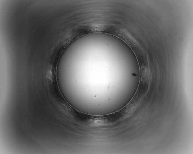X0000098110655200804111056