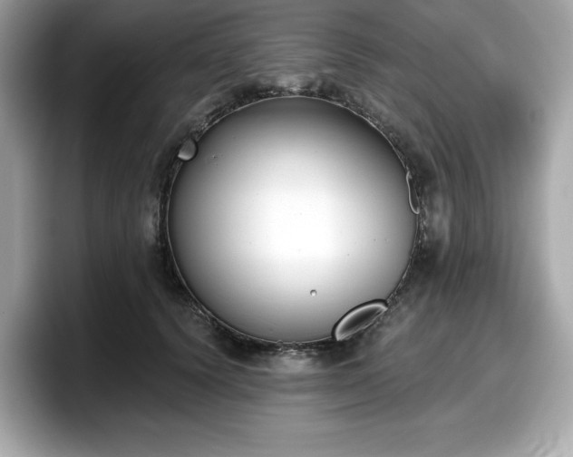 X0000098110656200804111056