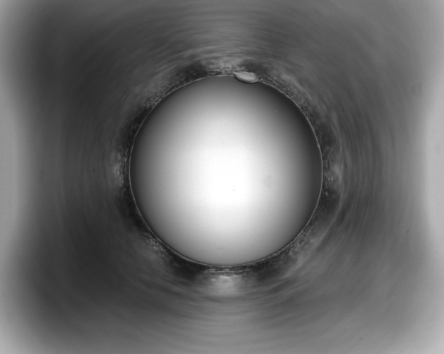 X0000098110658200804111056