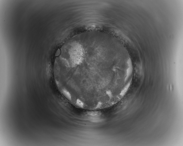 X0000098110659200804111056
