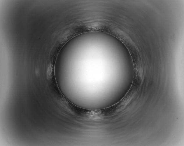 X0000098110660200804111056