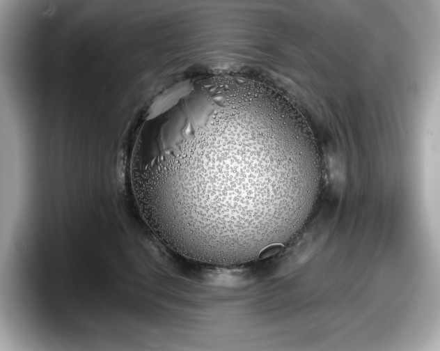 X0000098110664200804111056