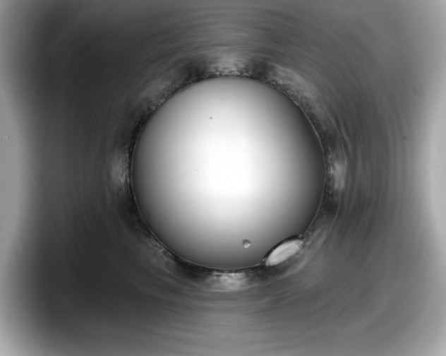 X0000098110665200804111056