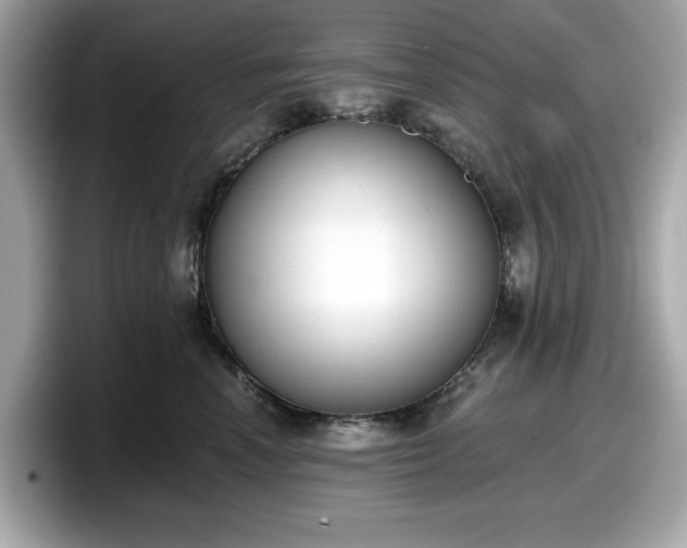 X0000098110666200804111056