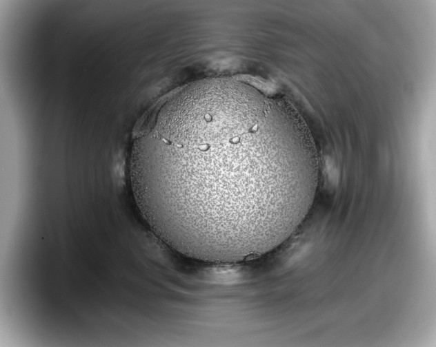 X0000098110668200804111056