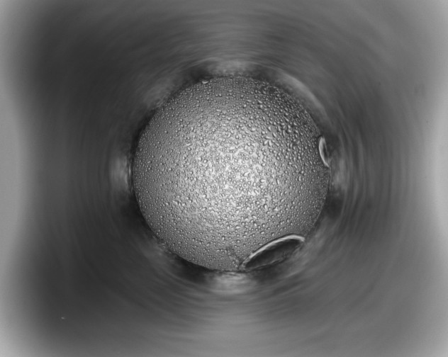 X0000098110669200804111056