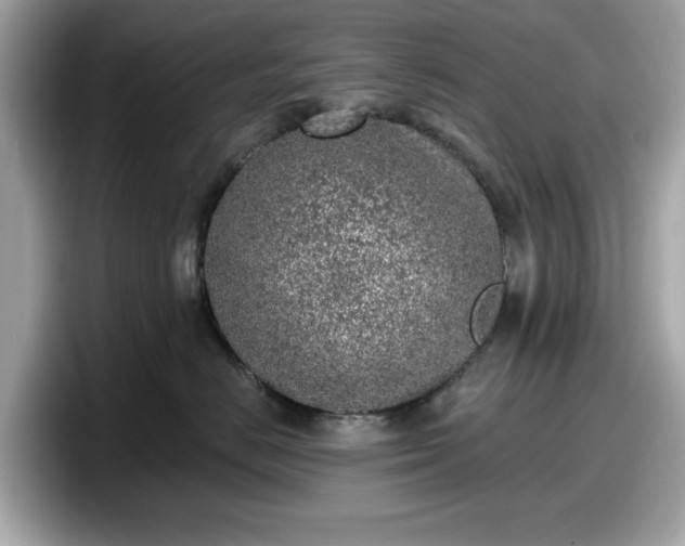 X0000098110670200804111056