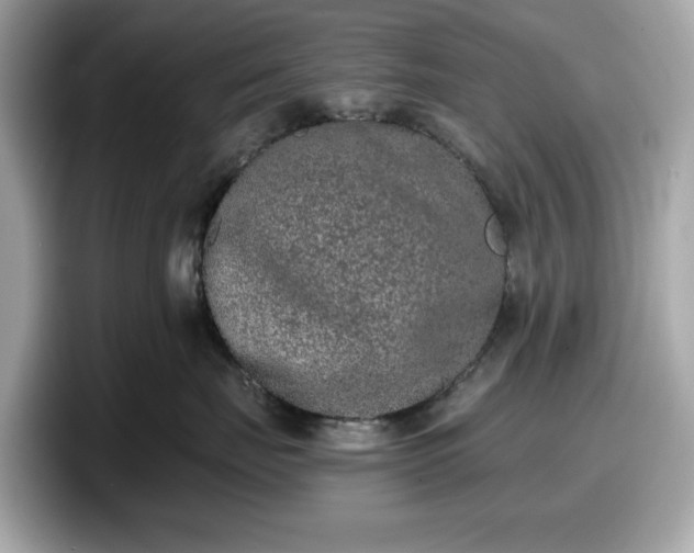X0000098110671200804111056