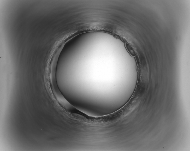 X0000098110673200804111056