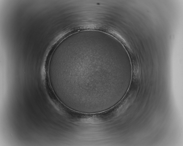 X0000098110674200804111056