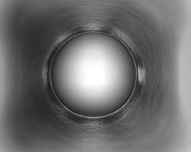 X0000098110675200804111056