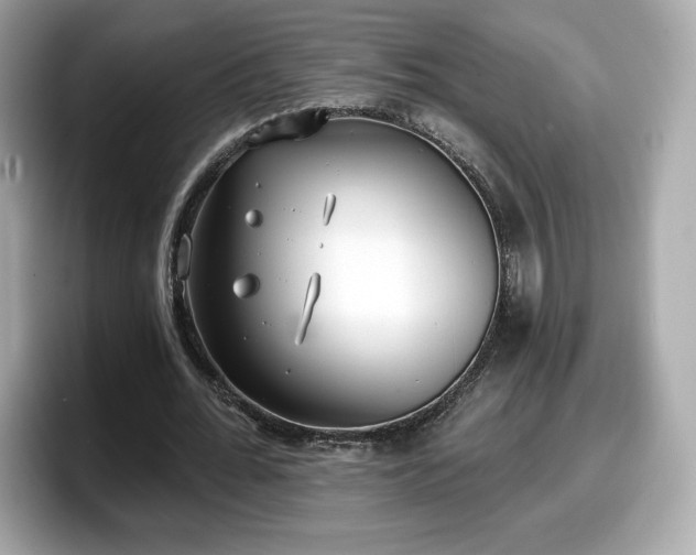 X0000098110676200804111056