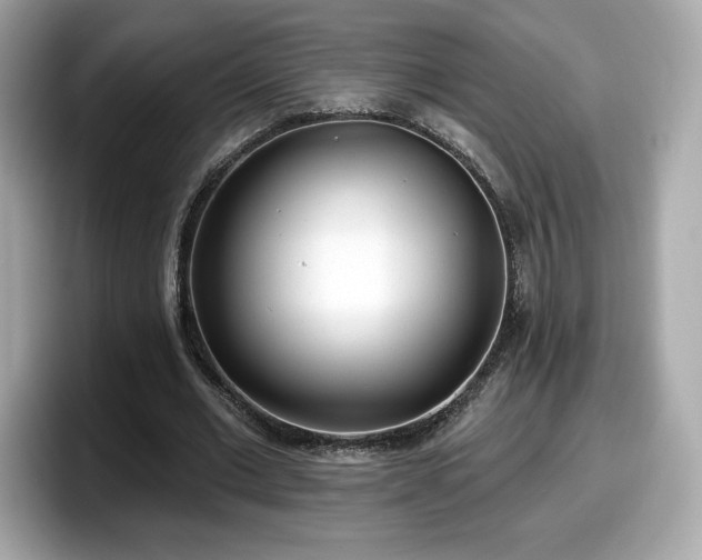 X0000098110677200804111056