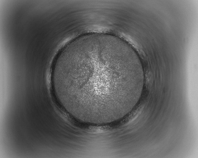X0000098110679200804111056