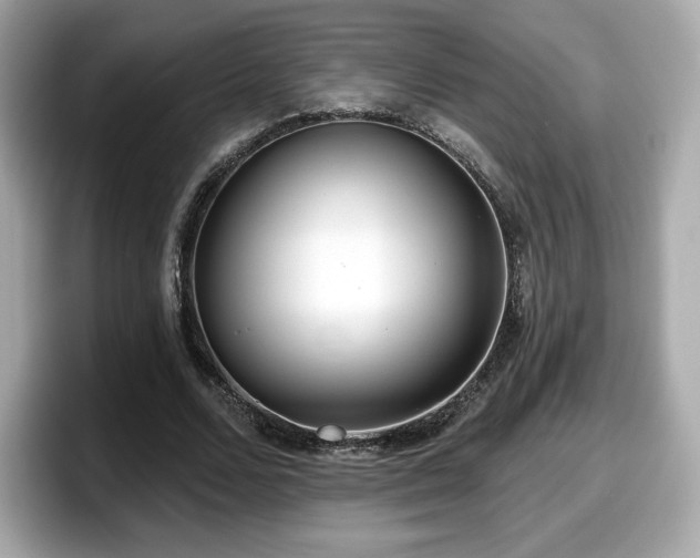 X0000098110680200804111056
