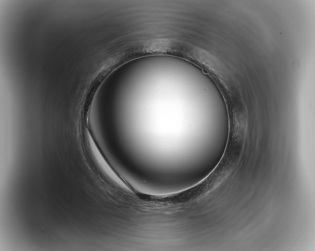 X0000098110681200804111055