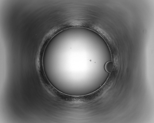 X0000098110682200804111055