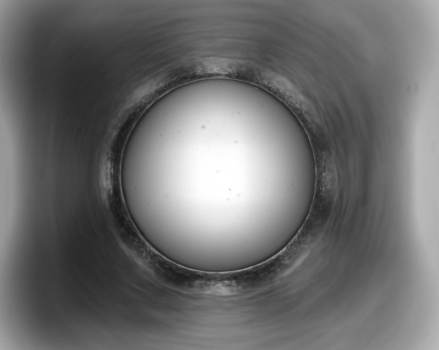 X0000098110683200804111055