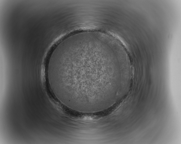 X0000098110684200804111055