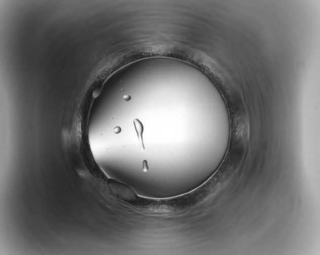 X0000098110685200804111055