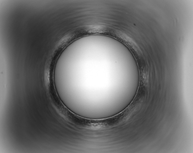 X0000098110686200804111055