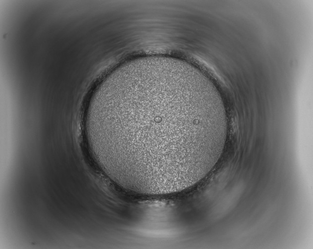 X0000098110687200804111055