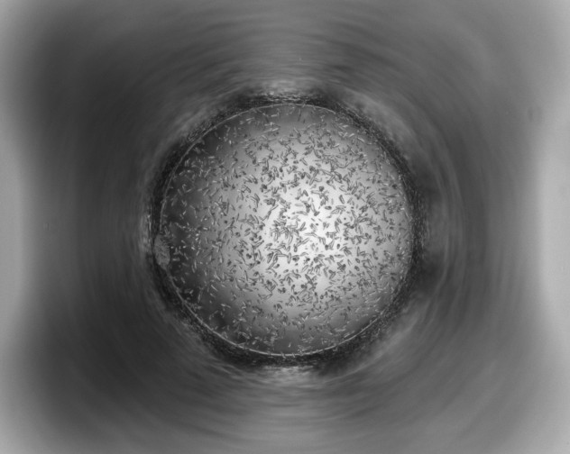 X0000098110689200804111055